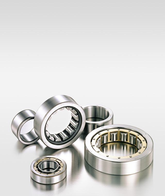  Cylindrical Roller Bearings 